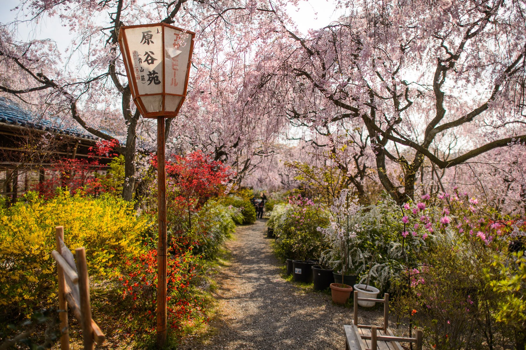 🌸 하라다니 정원(하라다니엔) 이미지 5